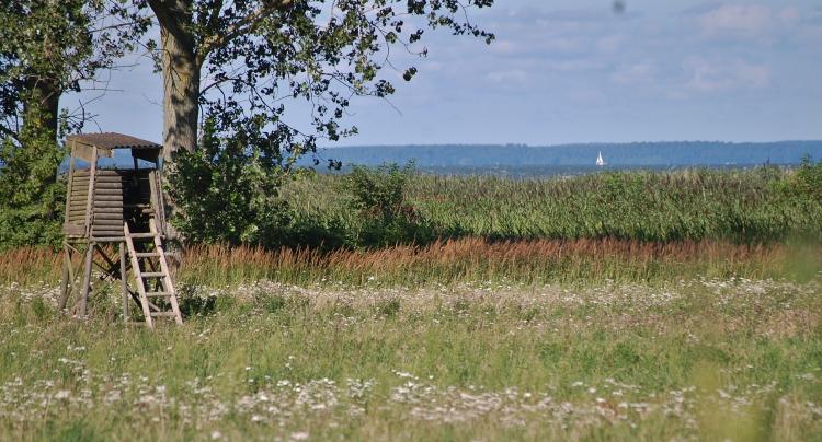 FDP-Kreisverband Uecker-Randow